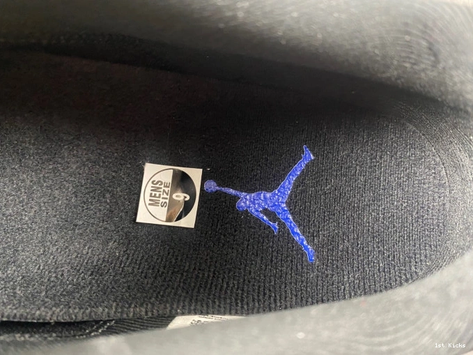 1st Kicks Space FV5104-004 Low Jordan Air Jam 11 0728
